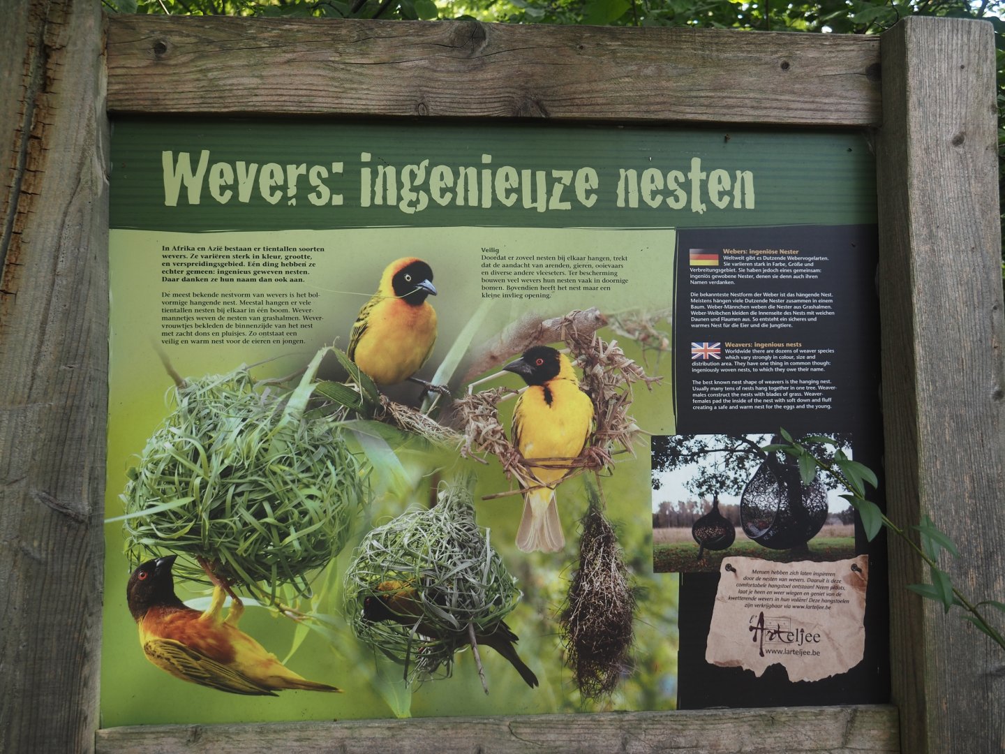 Weaver bird signage, 2024-08-21