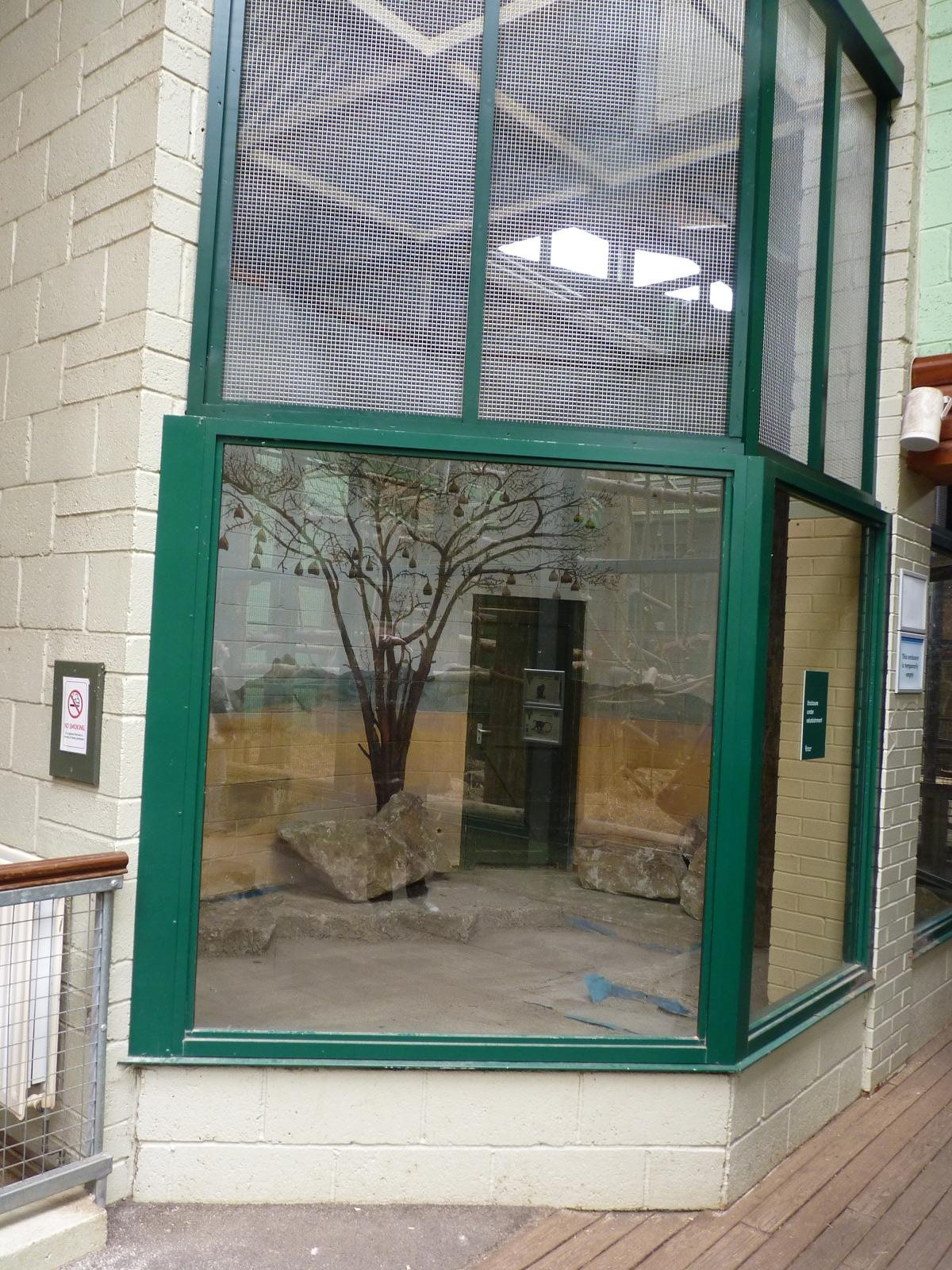 Weaverbird Aviary Progress