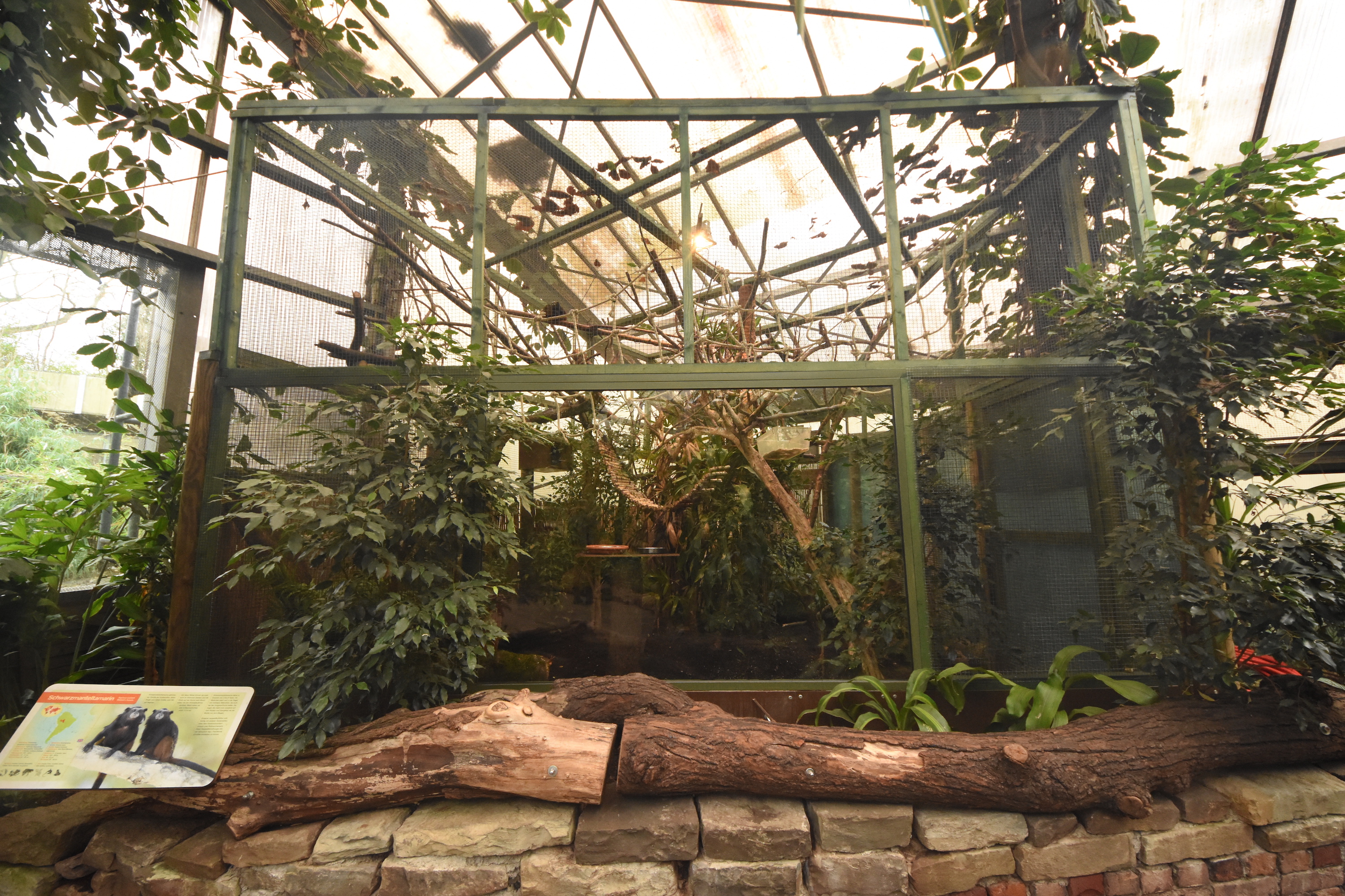 Weddell tamarin enclosure