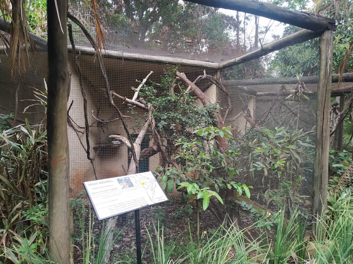 Weddell's Saddle-Back Tamarin Enclosure