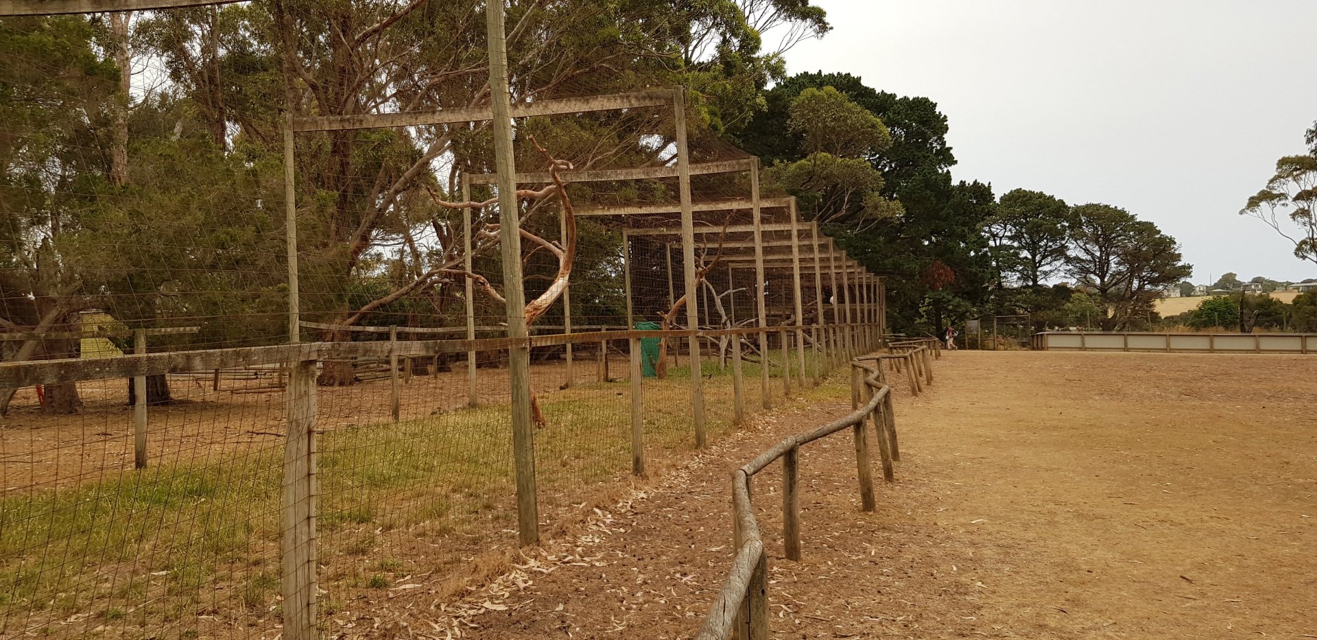 Wedge tailed and sea eagle aviaries