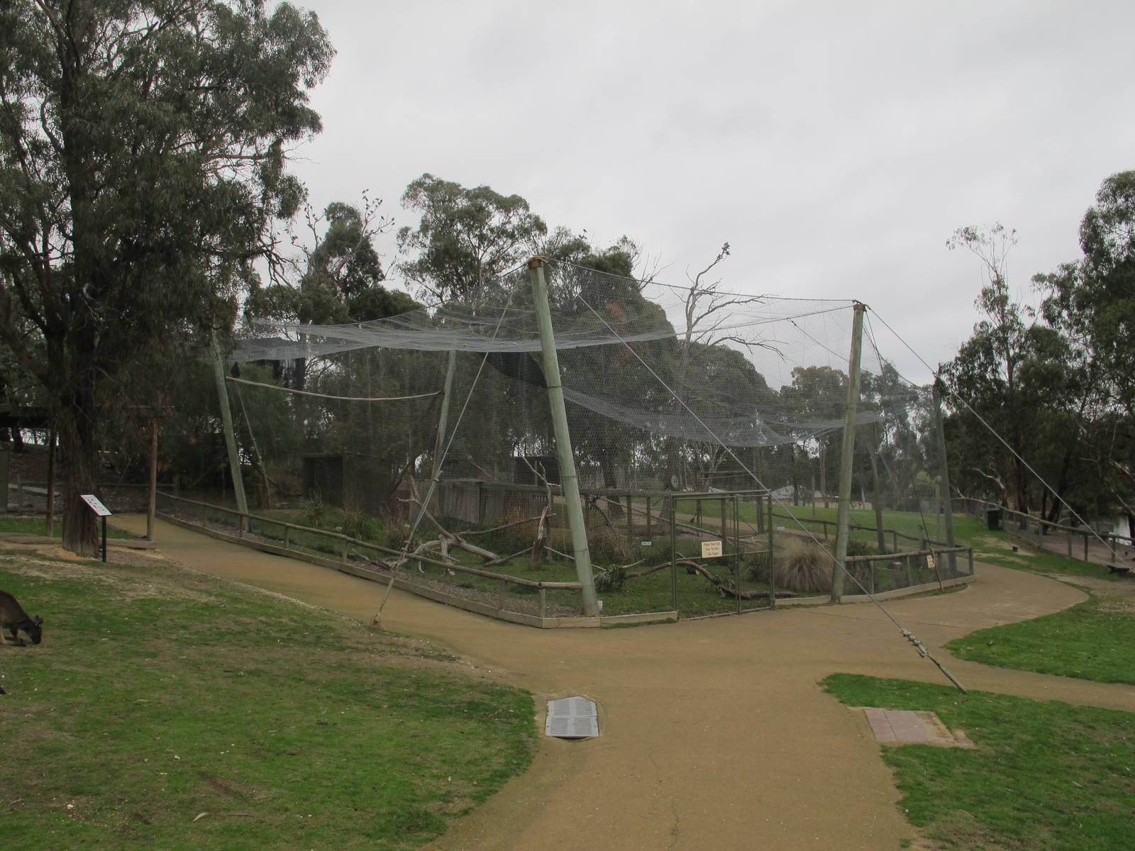 Wedge-tailed Eagle Aviary - Ballarat Wildlife Park May 2013