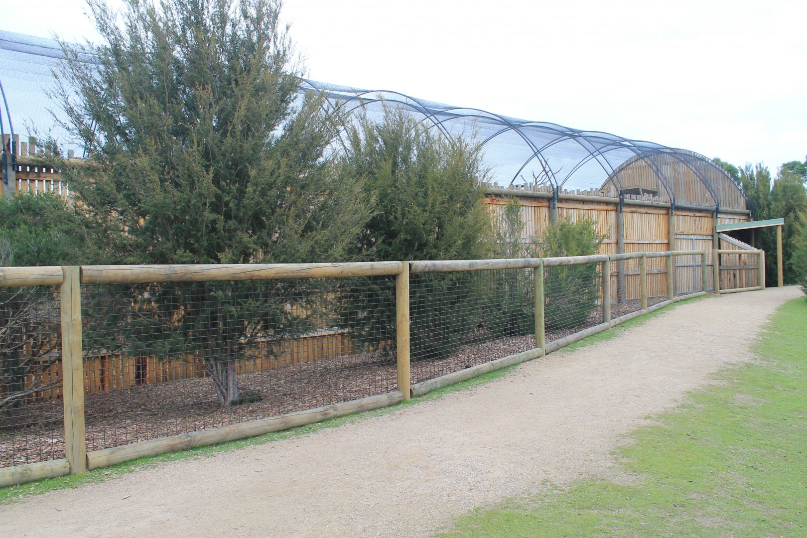 Wedge-tailed Eagle aviary exterior
