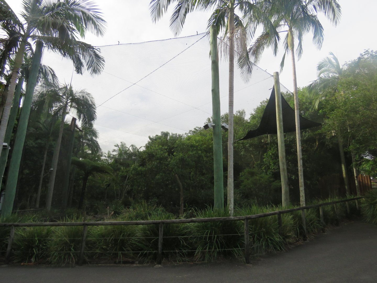 Wedge Tailed Eagle Exhibit