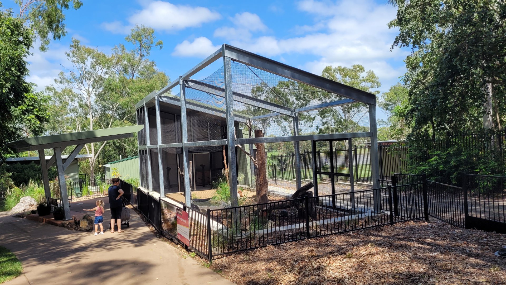 Wedge tailed Eagle - new aviary