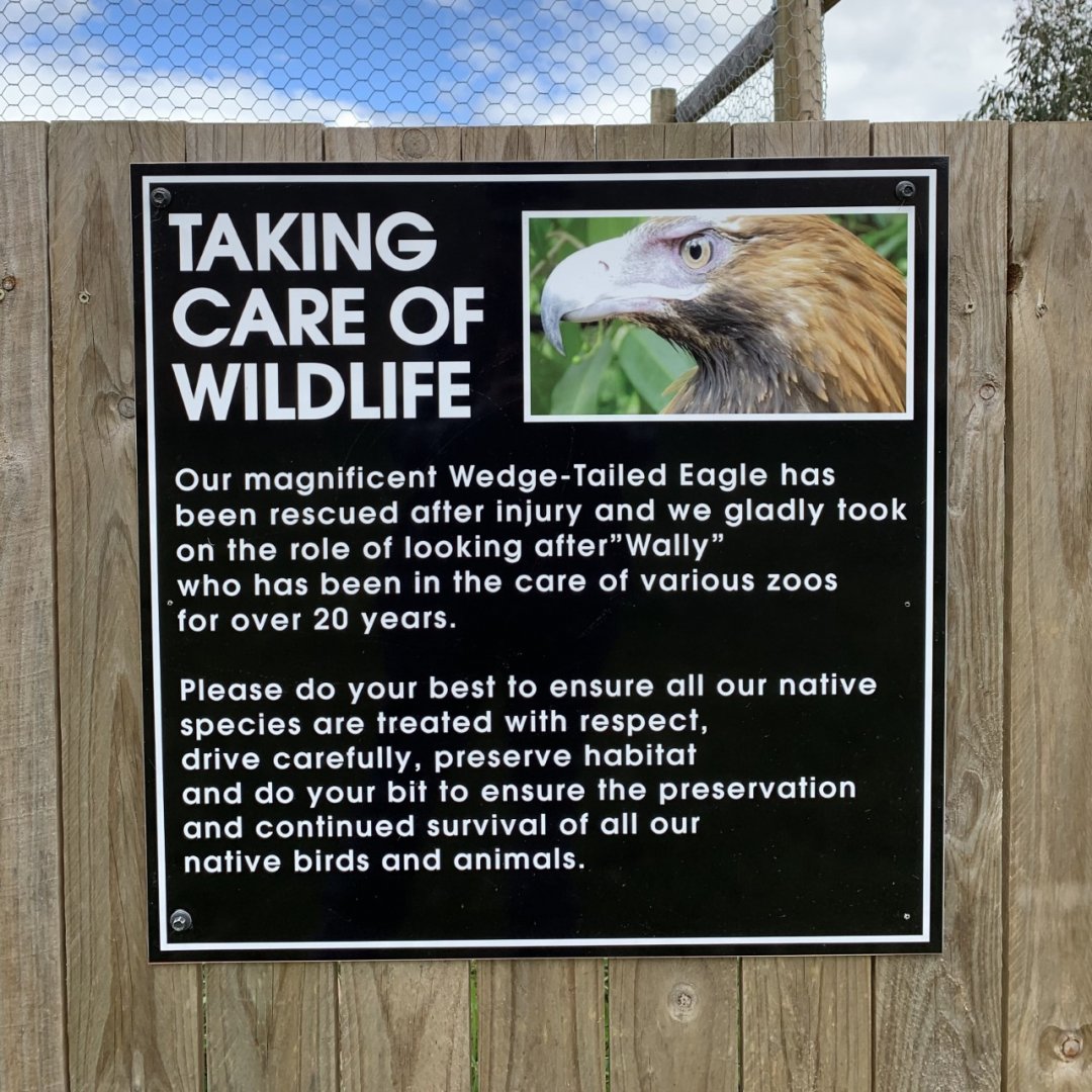 Wedge-tailed Eagle Sign