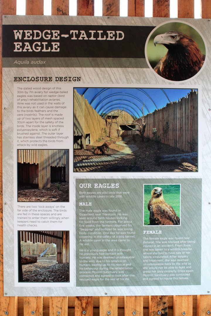 Wedge-tailed Eagle signage