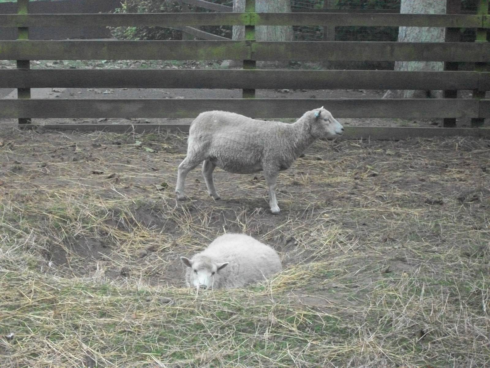 Wednesday evening in a hole for April, 17th September 2014