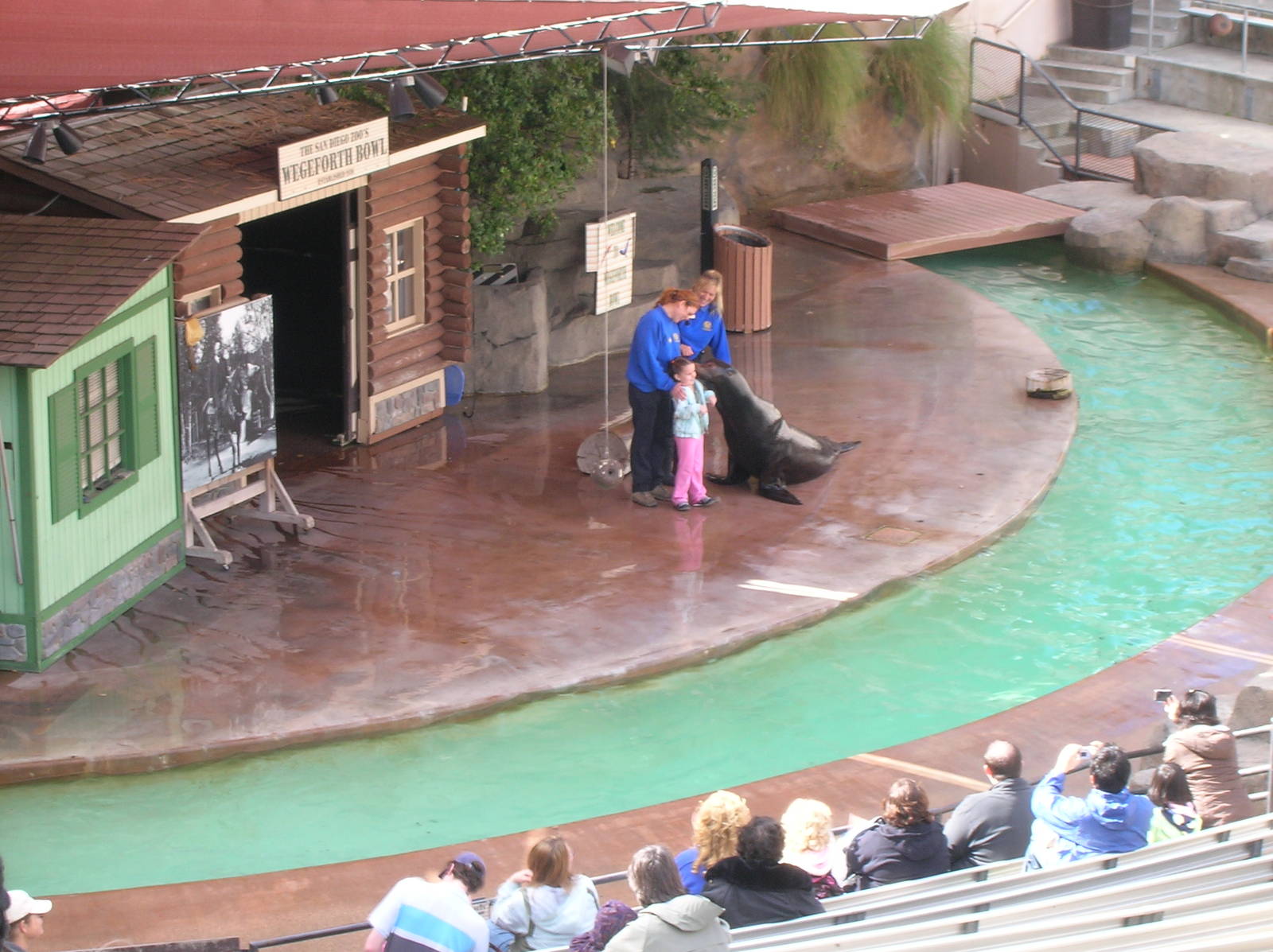 Wegeforth Bowl Show 1-26-09