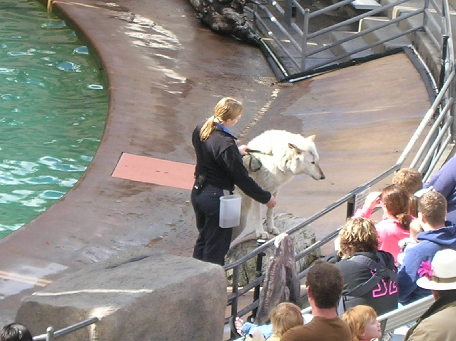 Wegeforth Bowl Show 1-26-09