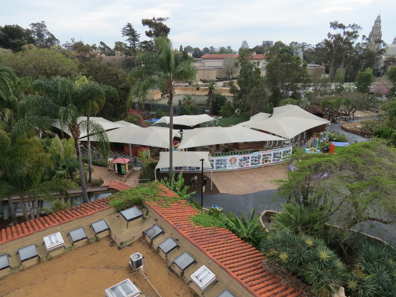Wegeforth Bowl view from Skyfari