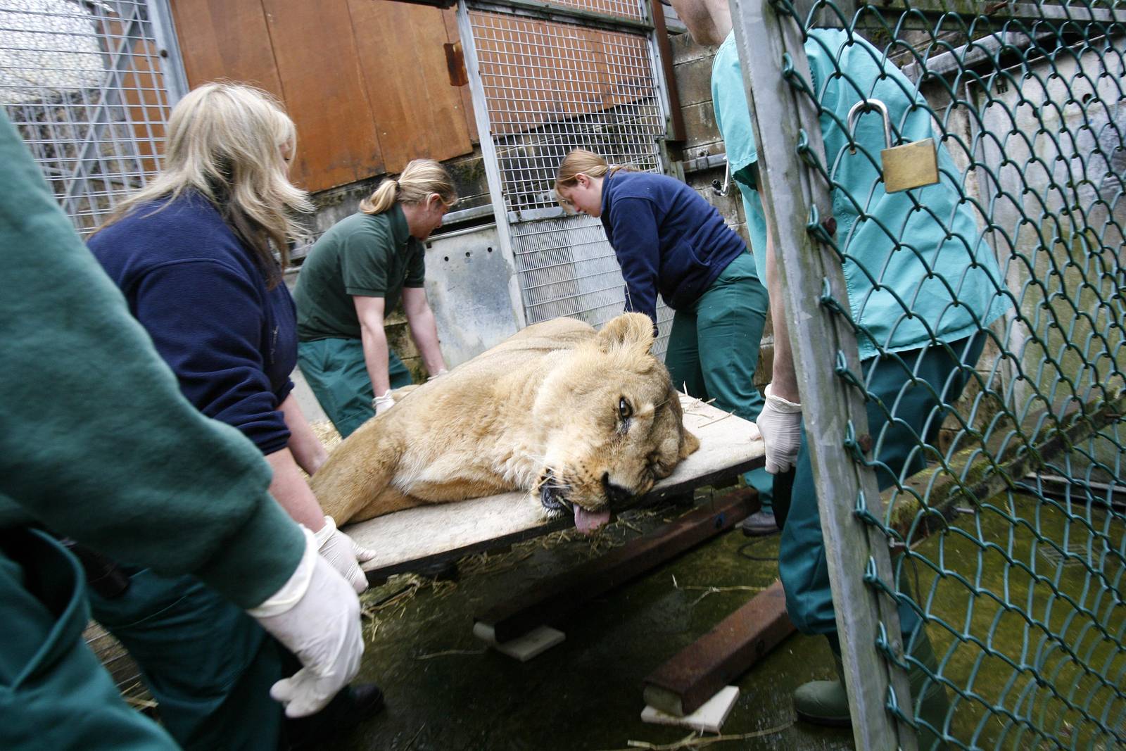 Weighing Moti 9th April 2009