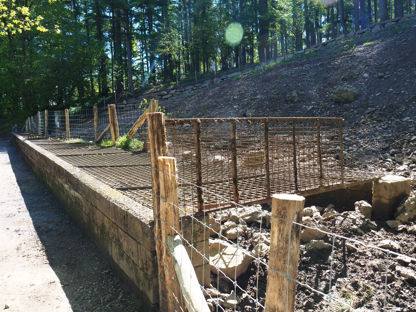 Weird muddy Central European wild boar pen, 2021-05-29