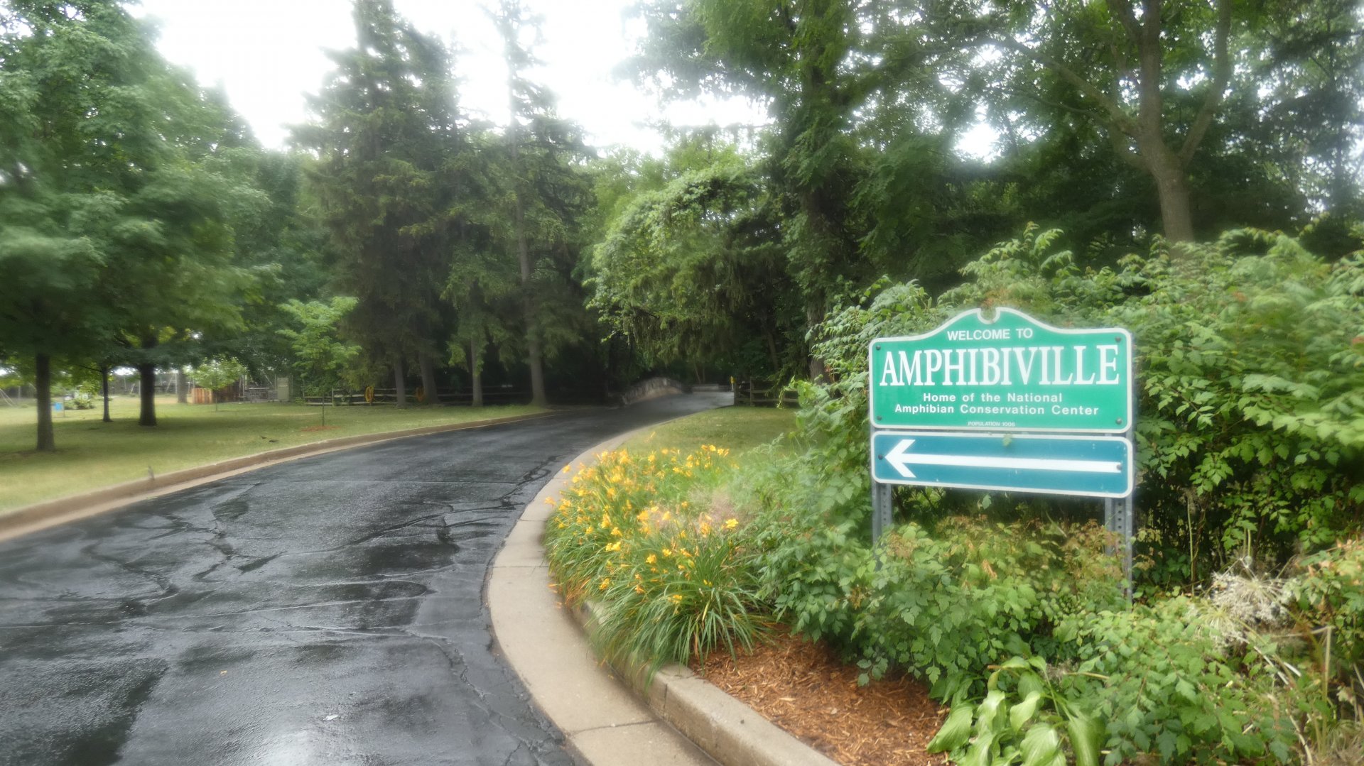 Welcome to Amphibianville Sign - July 2022
