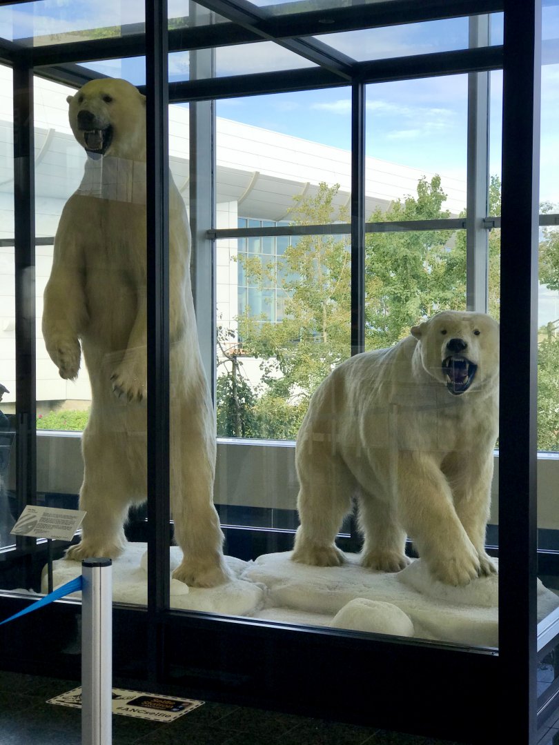 Welcome to Anchorage - Anchorage Int’l Airport.