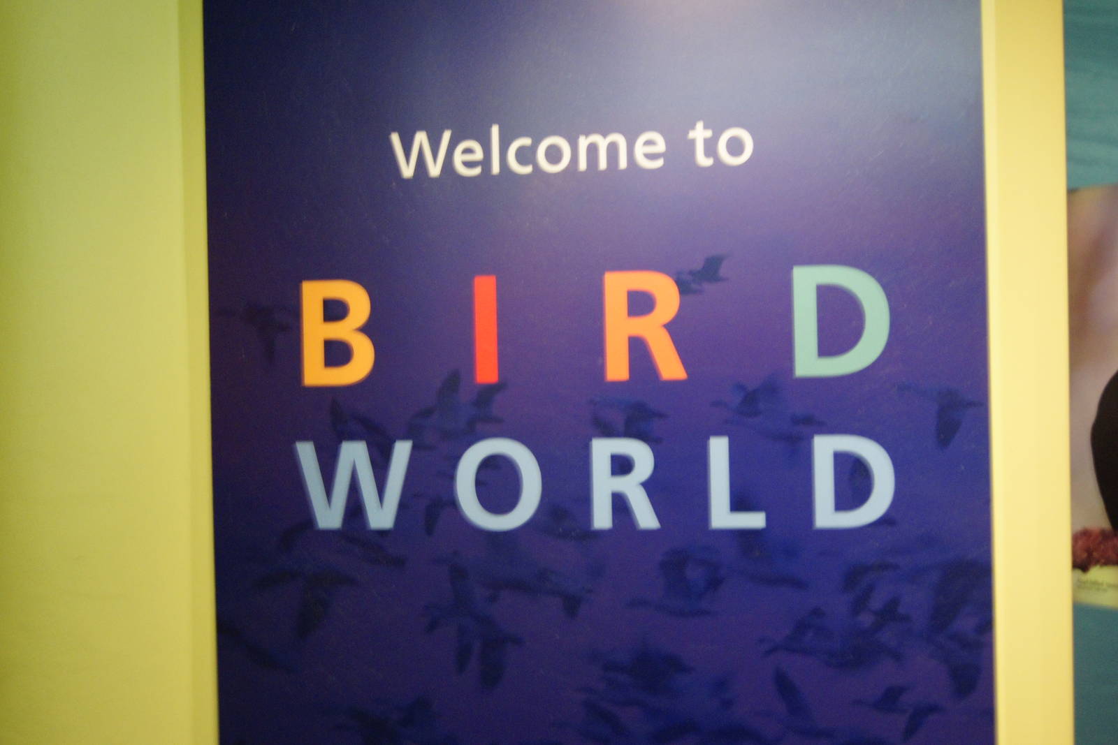 Welcome to Bird World Sign