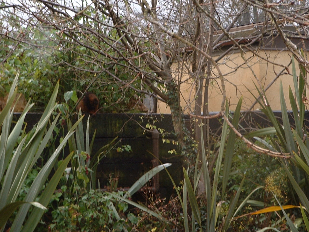 'Welcome to Madagascar!'