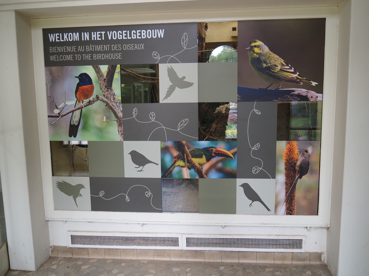 Welcome to the Bird House