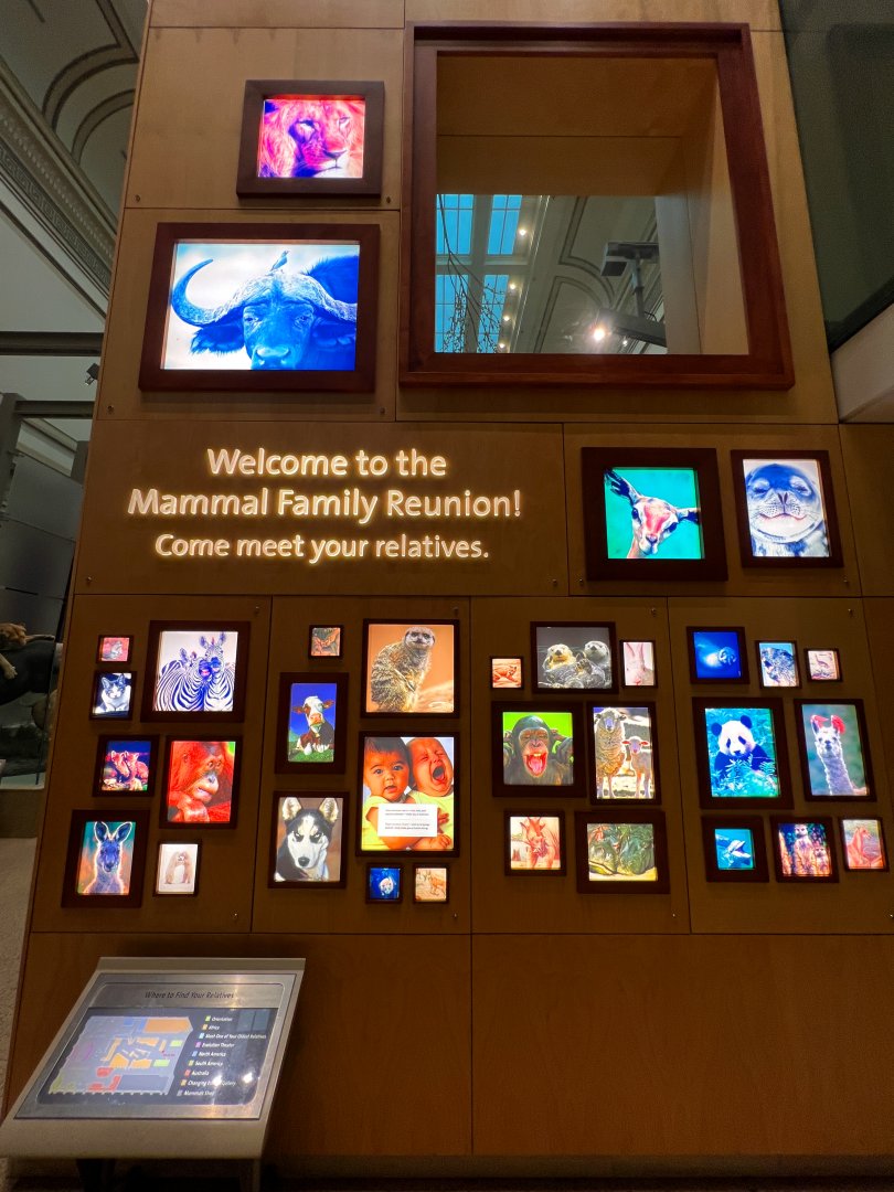 Welcome To The Mammal Family Reunion