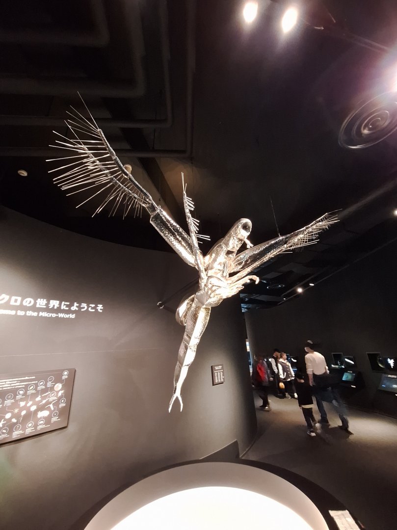 Welcome to the Micro-World - Lake Biwa Museum