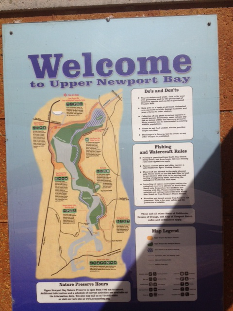 Welcome to Upper Newport Bay