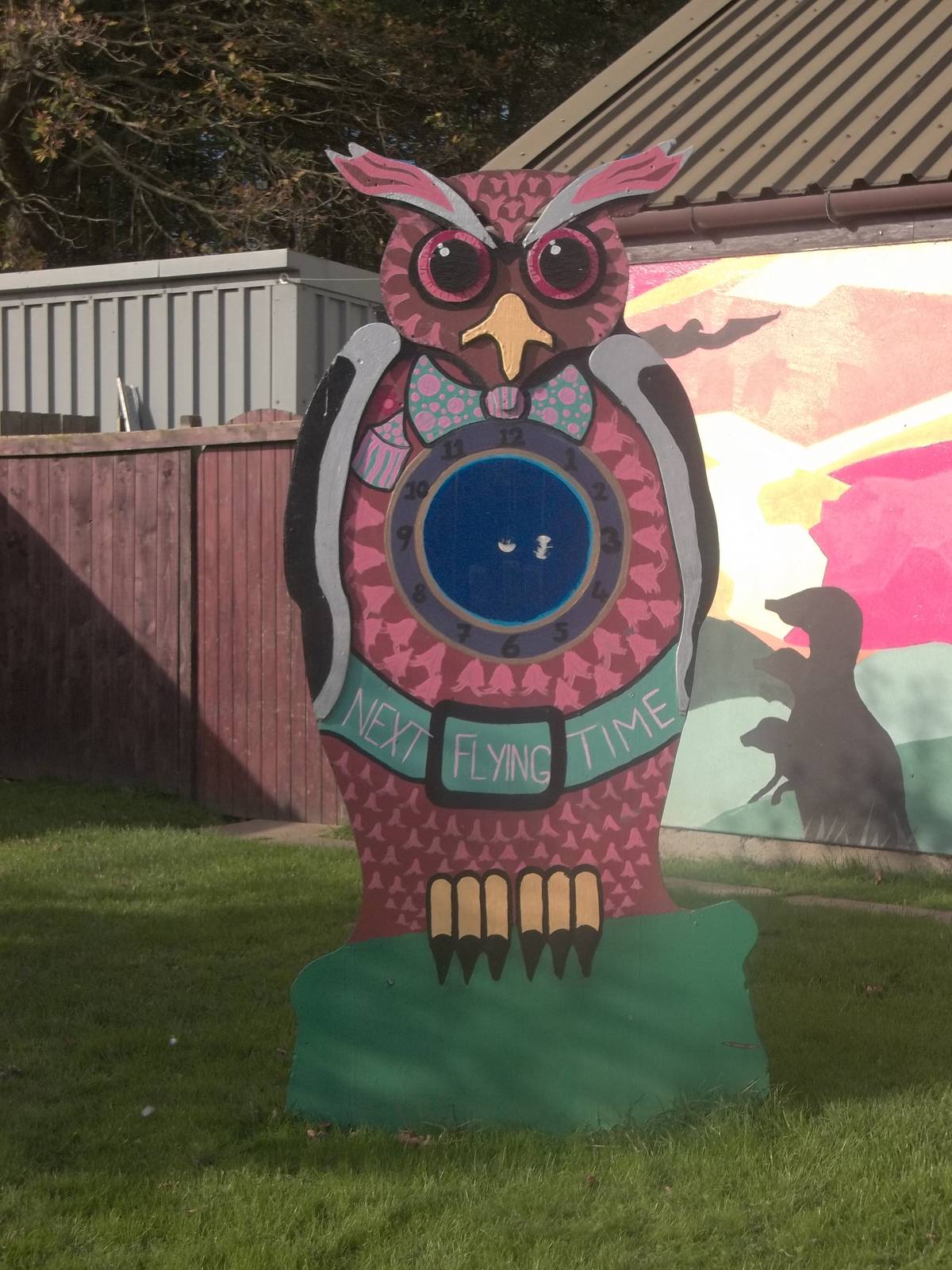 Welcoming Owl, 29th October 2014