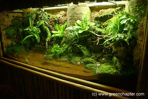 Welcoming the Amphibian Ark, Singapore Zoo