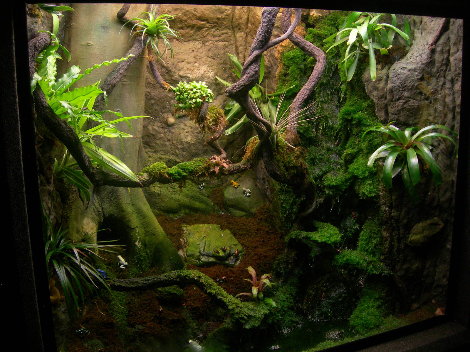 Well designed terrarium