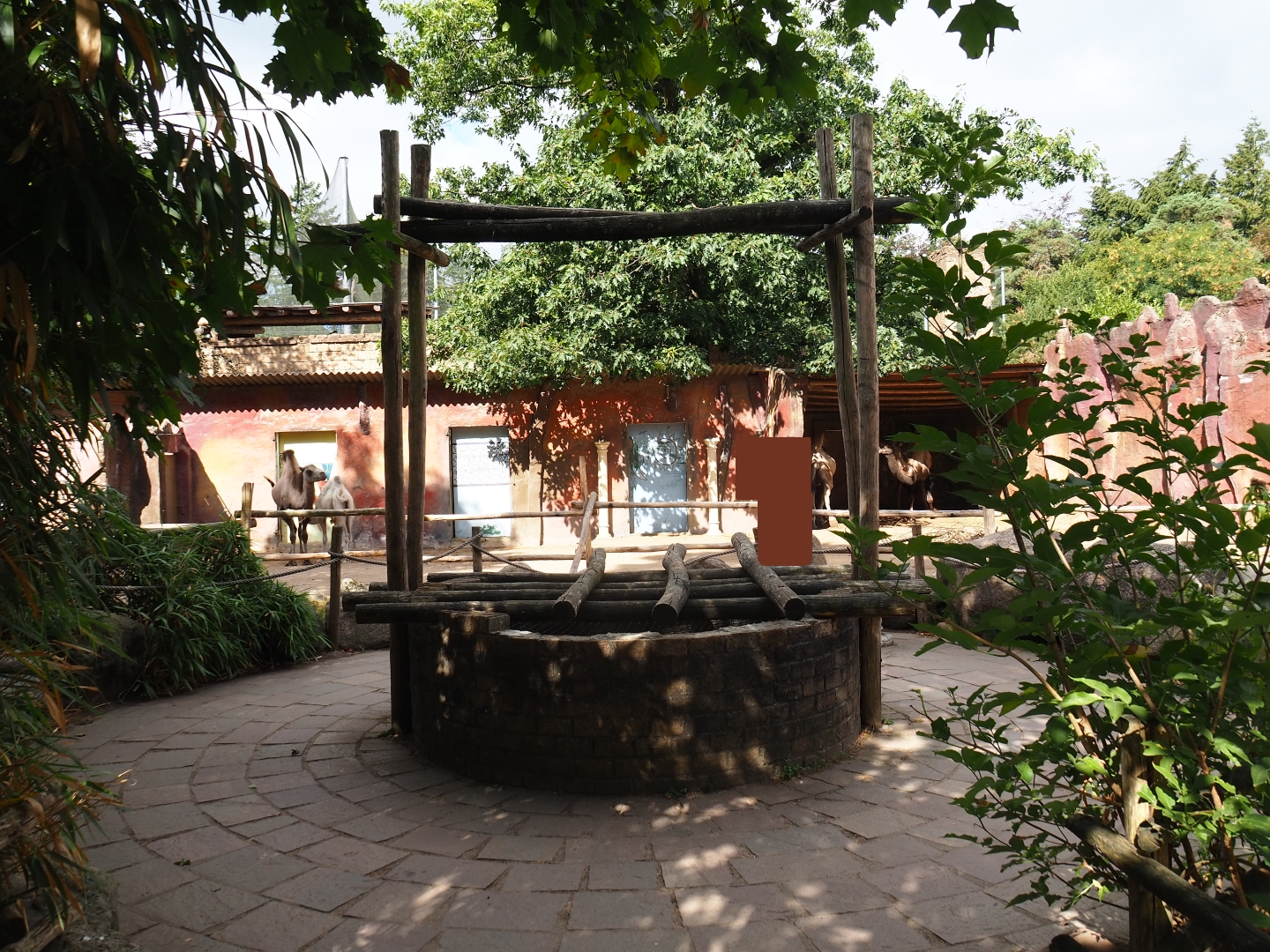 Well near the bactrian camel paddock