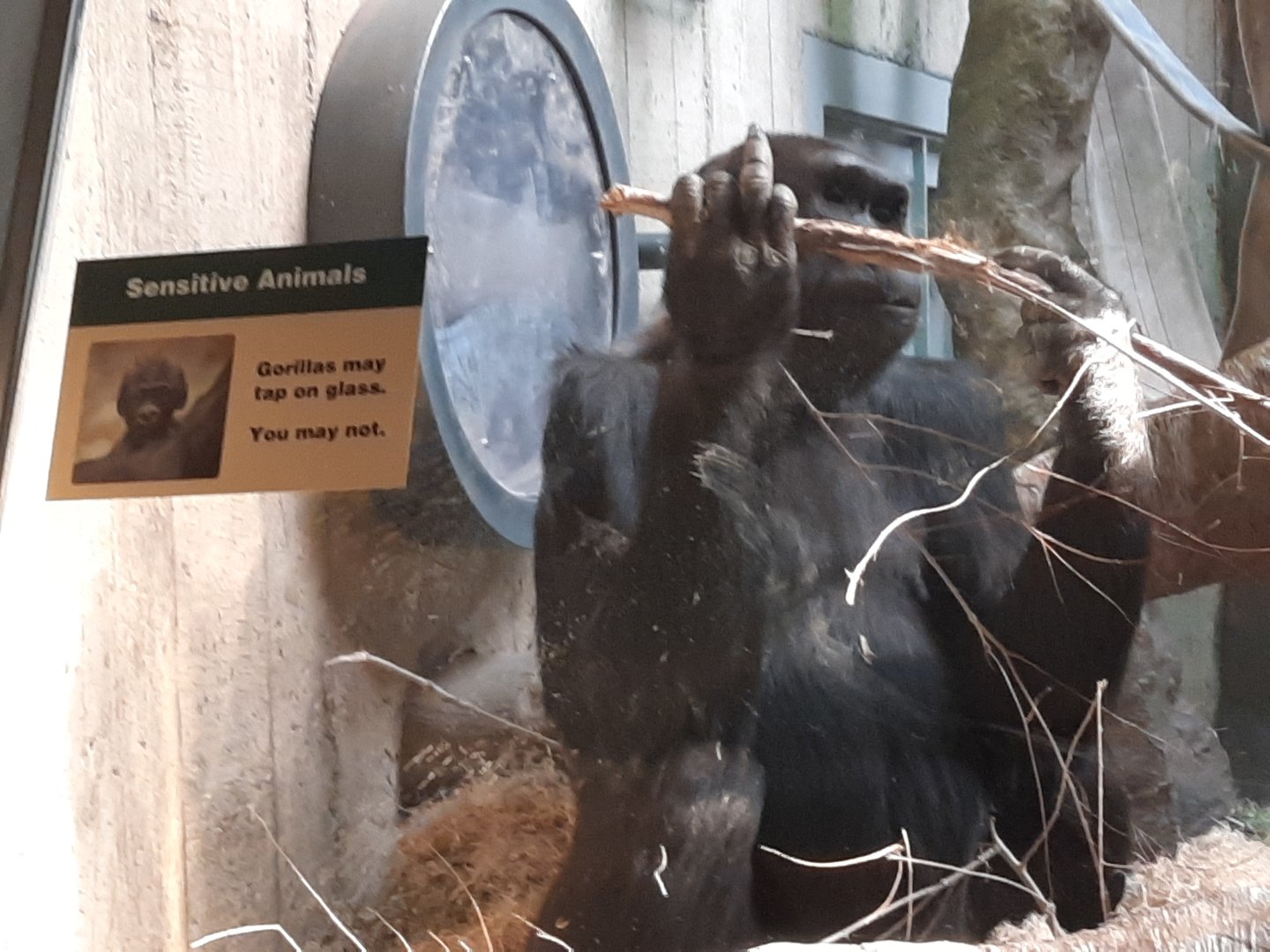 Well no need to be rude