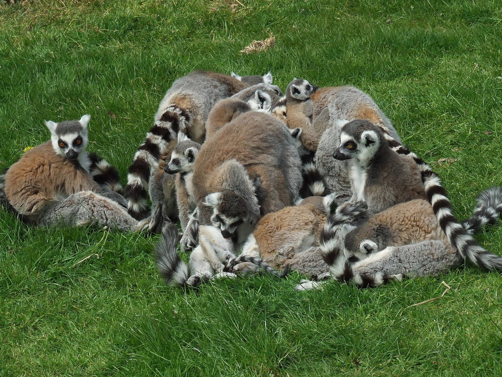 Well, what do you think how many? :)