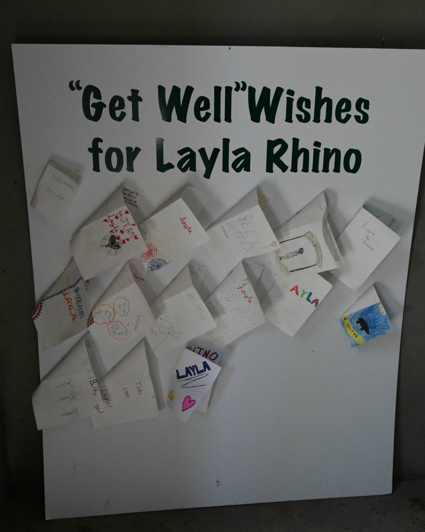Well wishes for Layla