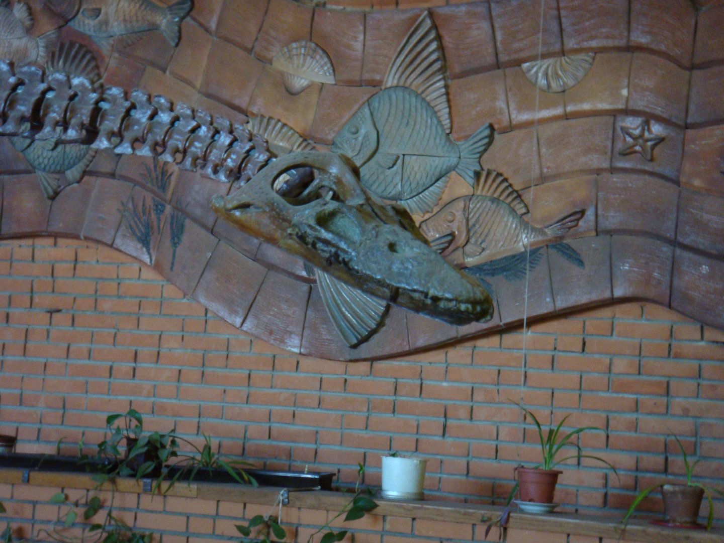 Wellesisaurus sudzuki skeleton (cast)