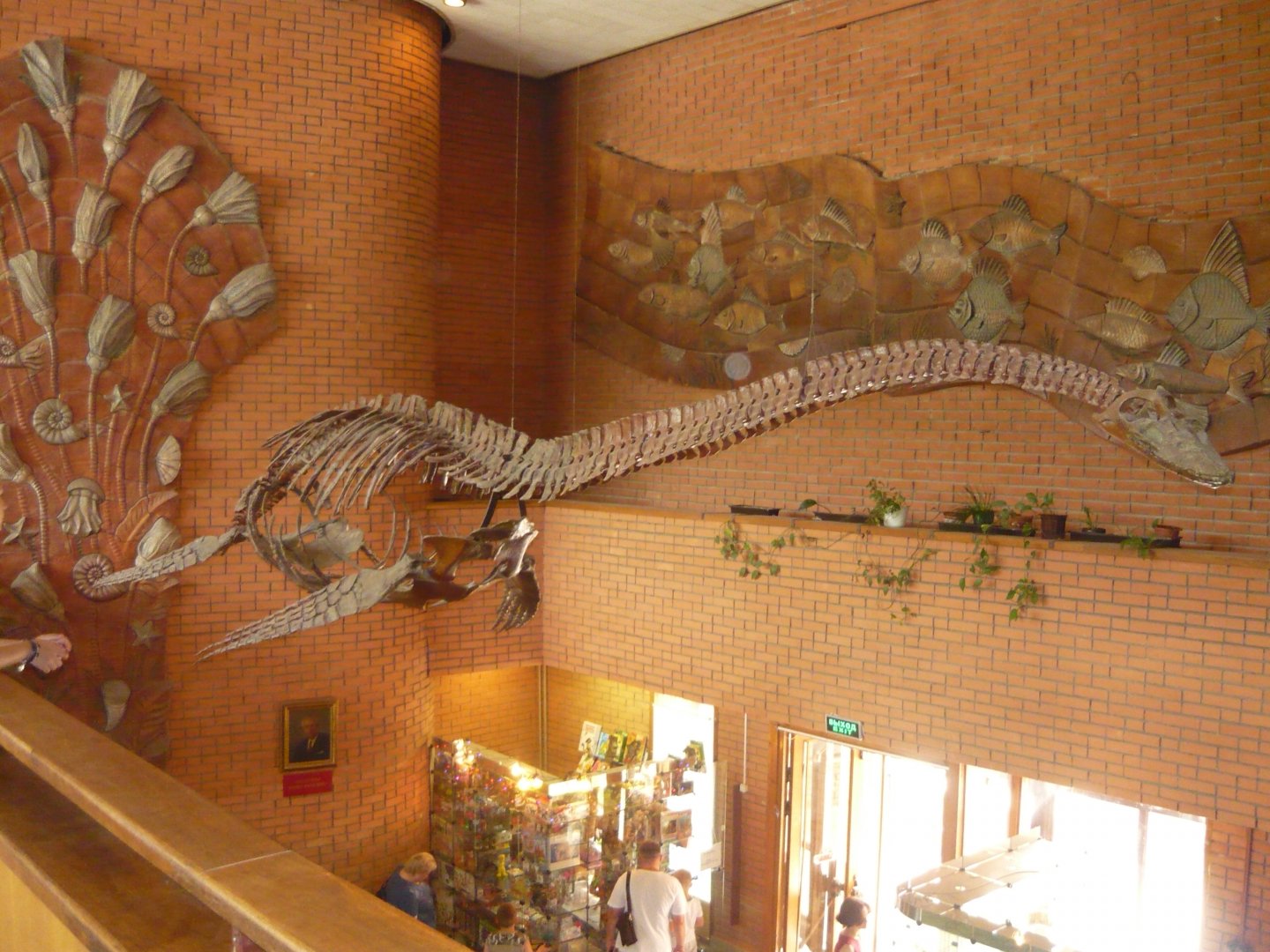 Wellesisaurus sudzuki skeleton (cast)