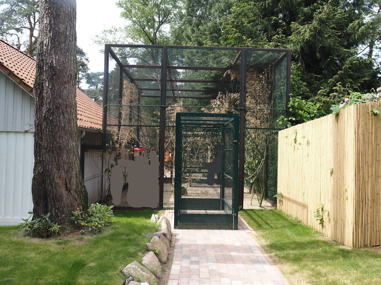 Welli-Paradies (Budgerigar walk-through and feeding aviary), 2024-05-21