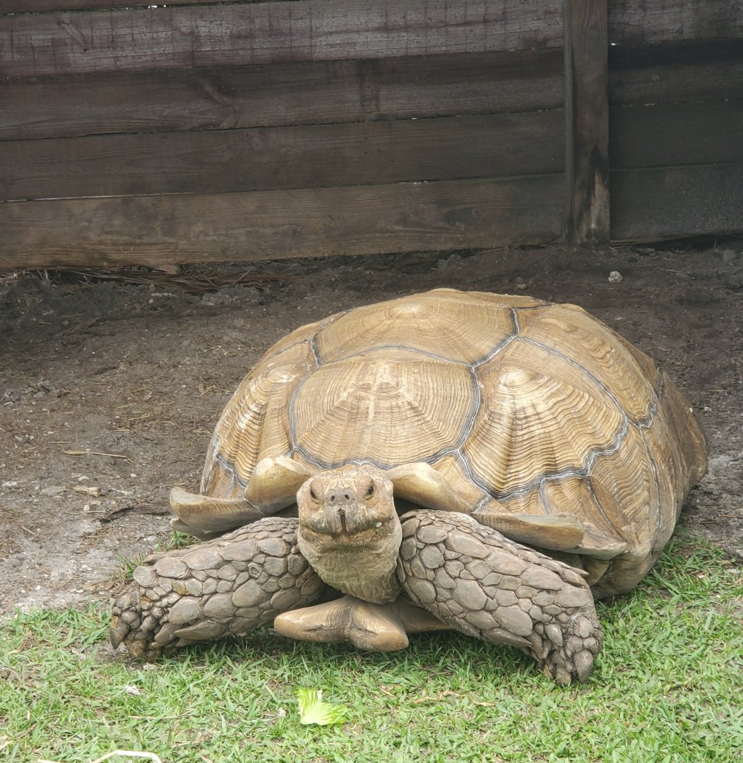 Wellington Conservation Center (2022) - Tank
