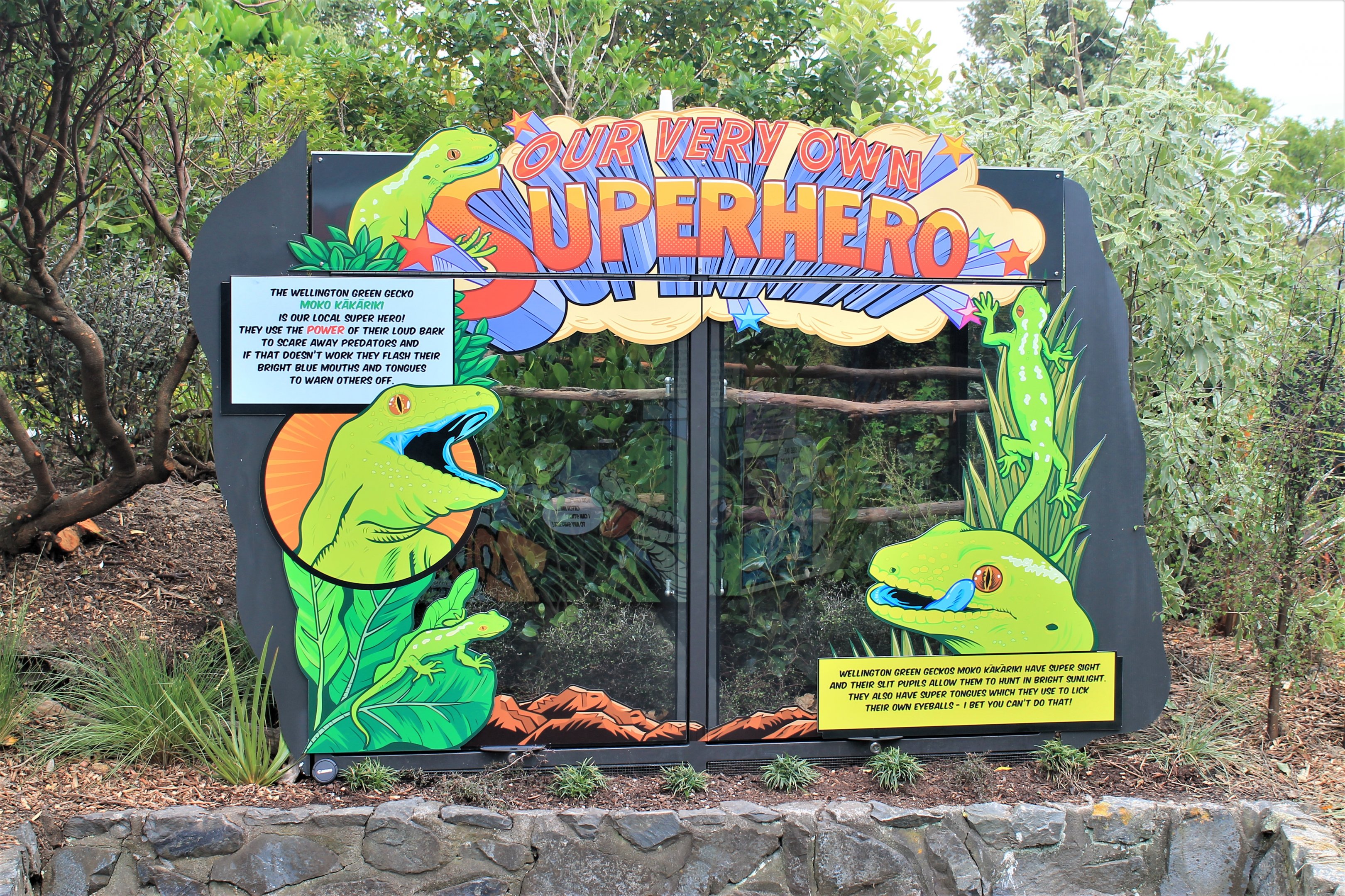 Wellington Green Gecko (Naultinus punctatus) enclosures