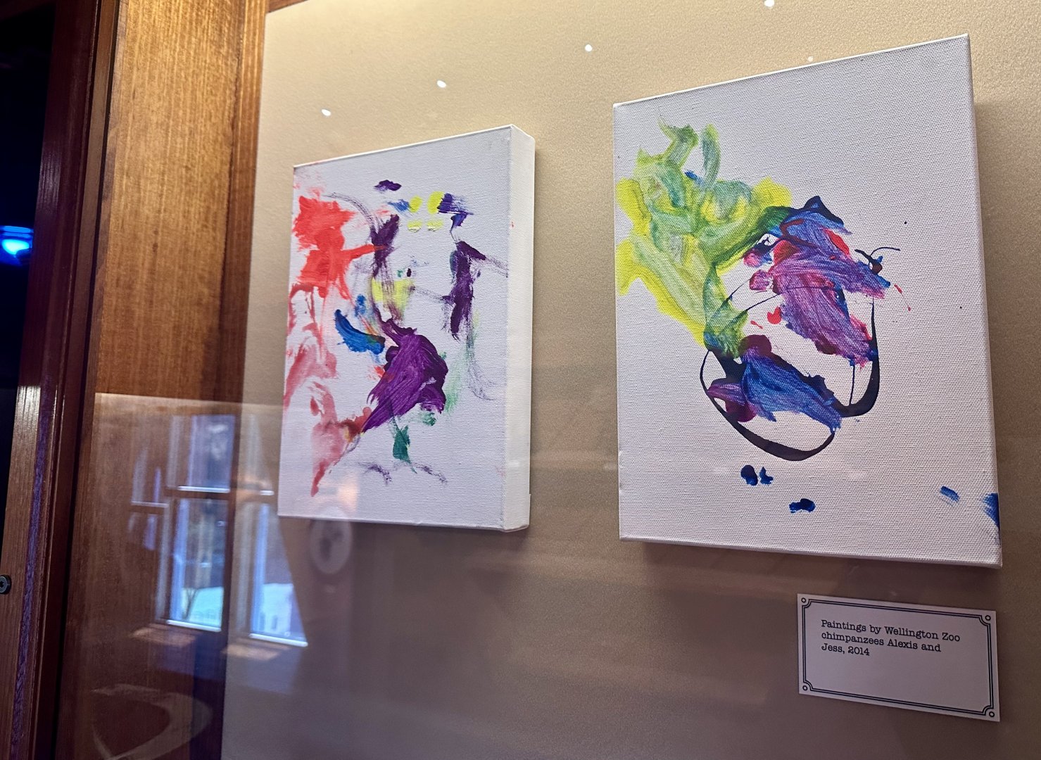 Wellington Zoo Chimpanzee Art