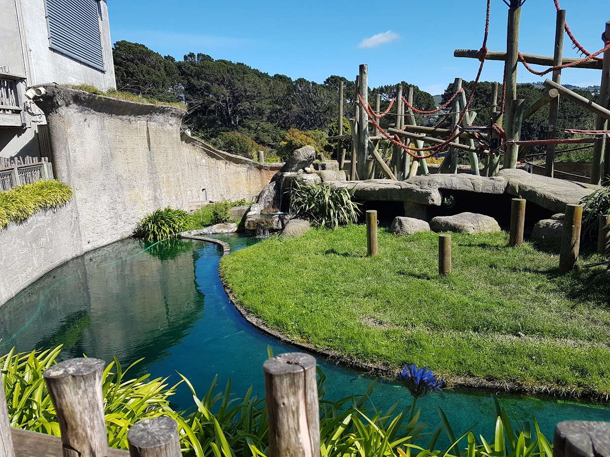 Wellington Zoo | Chimpanzee Enclosure