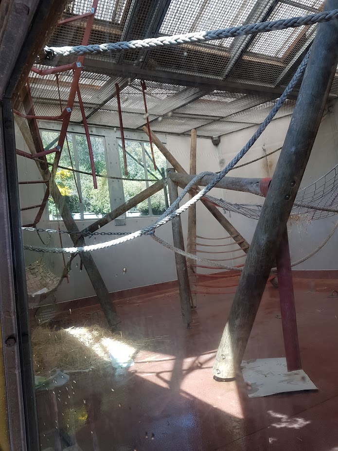 Wellington Zoo | Chimpanzee Indoor Enclosure