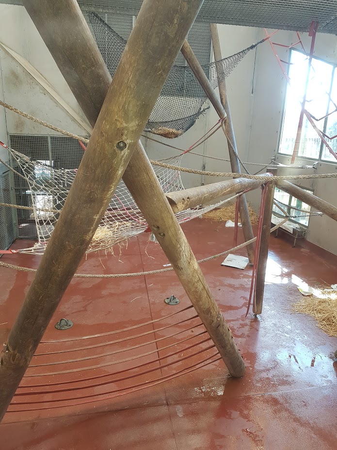 Wellington Zoo | Chimpanzee Indoor Enclosure