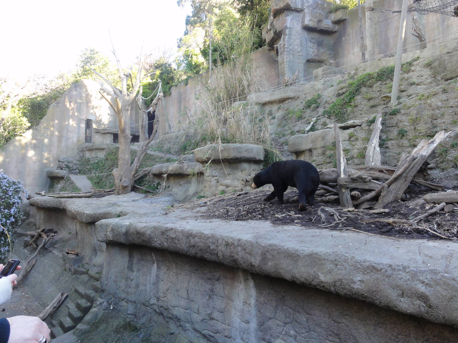 Wellington zoo: circa 2010