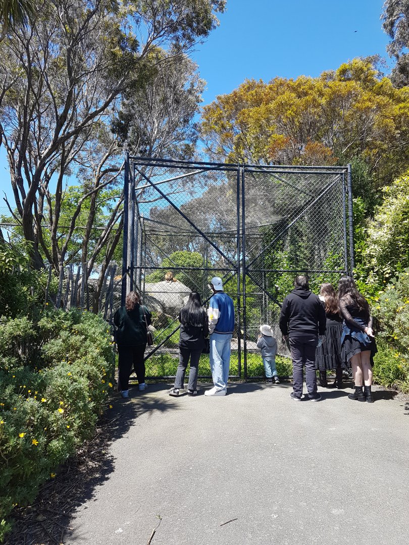 Wellington Zoo | Lion Enclosure Access Gates