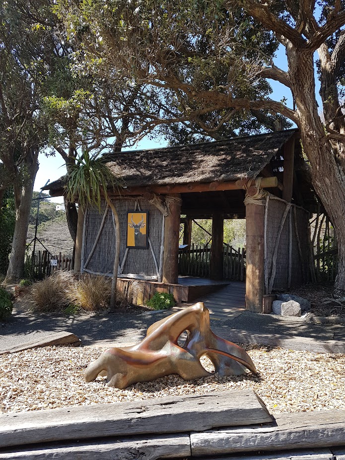 Wellington Zoo | Male Nyala Viewing