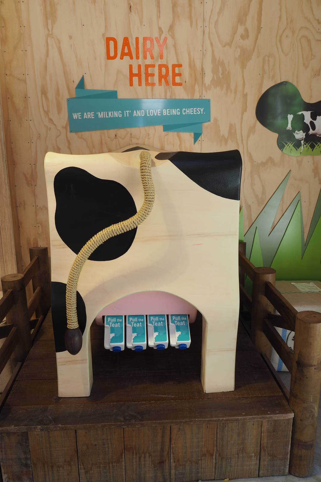 Wellington Zoo - Meet the Locals Dairy Display