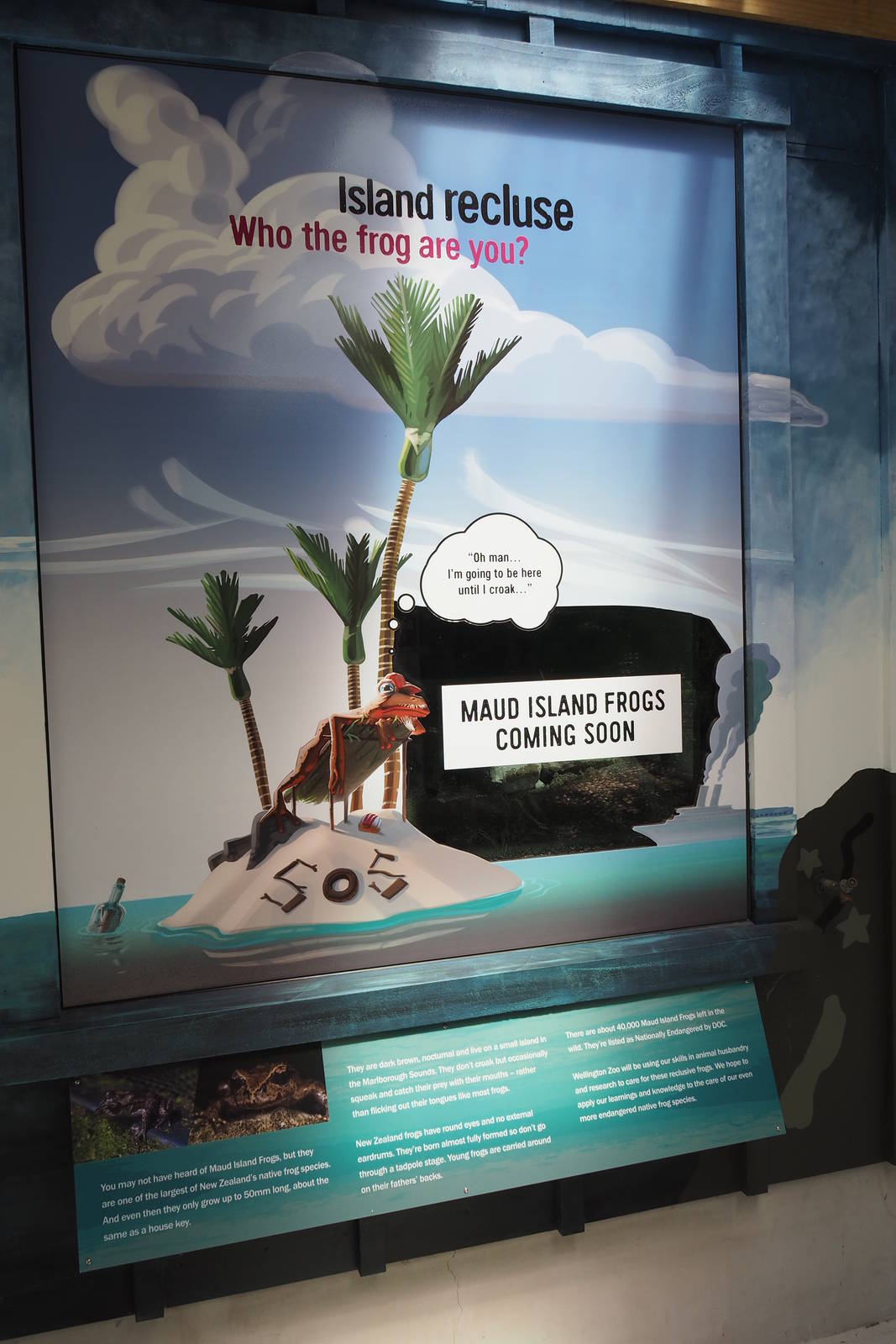 Wellington Zoo - Meet the Locals Maud Island Frog Exhibit