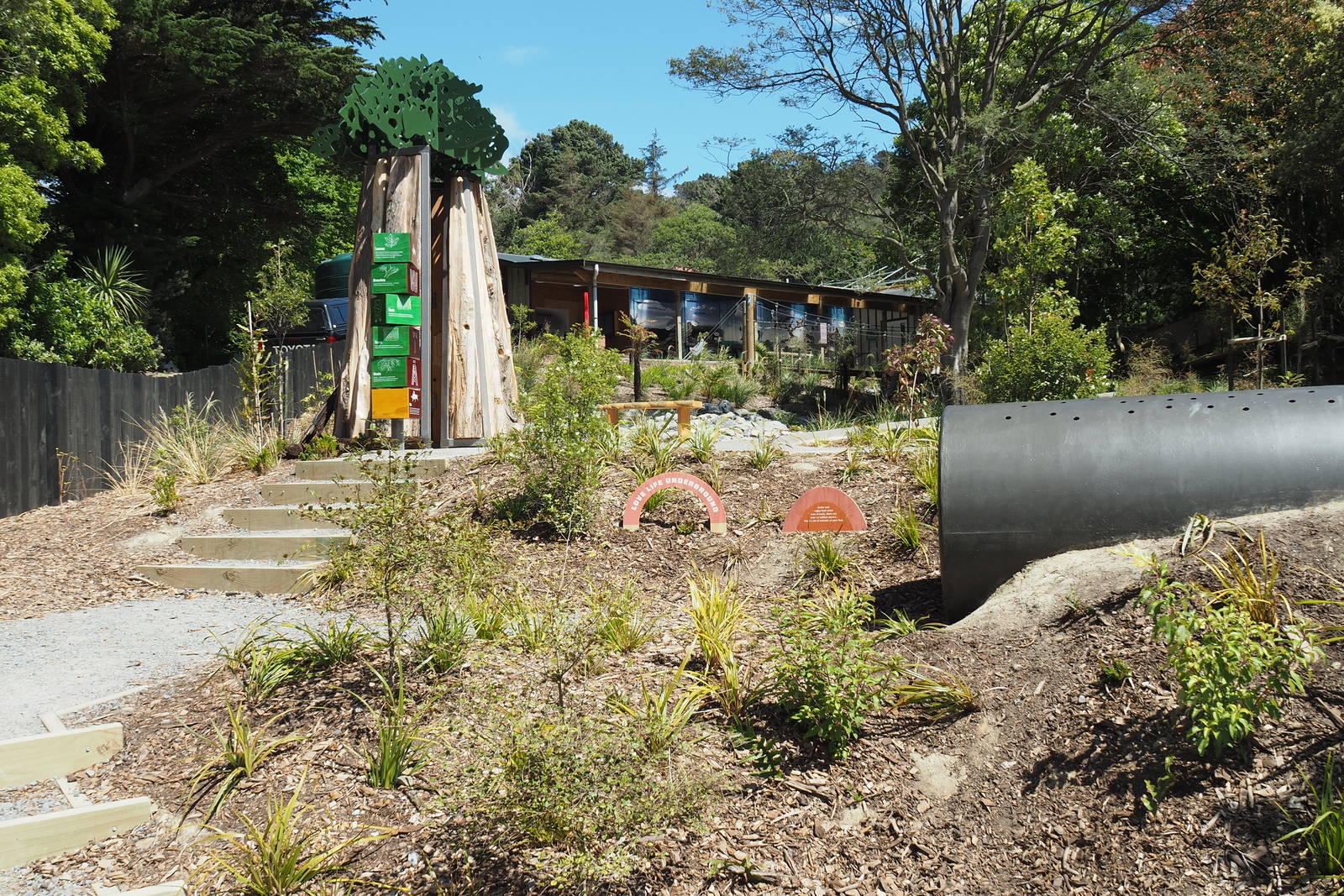 Wellington Zoo - Meet the Locals Native Bush