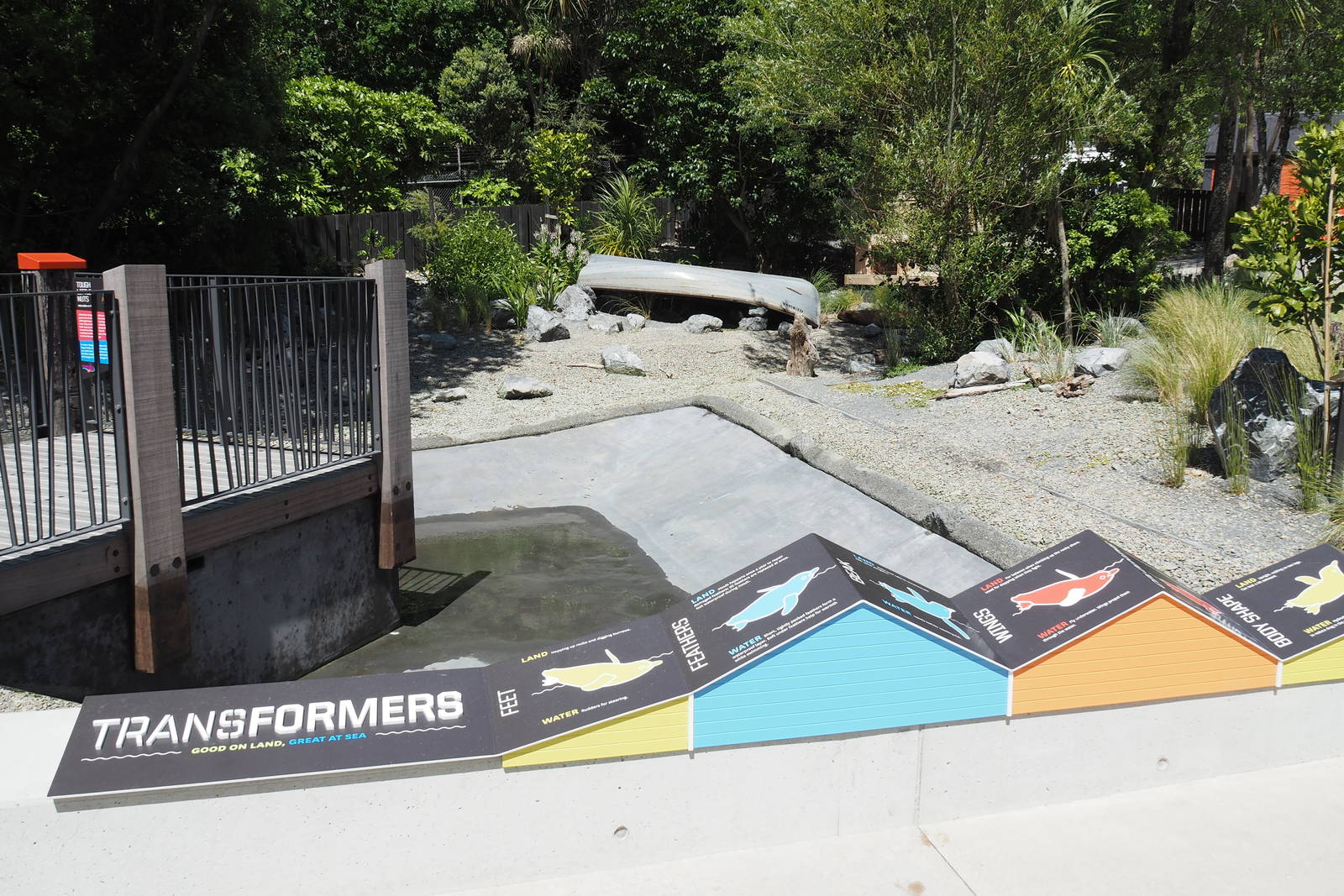 Wellington Zoo - Meet the Locals Penguin Exhibit