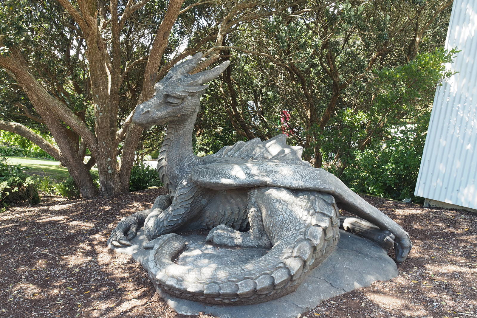 Wellington Zoo - New Dragon Sculpture