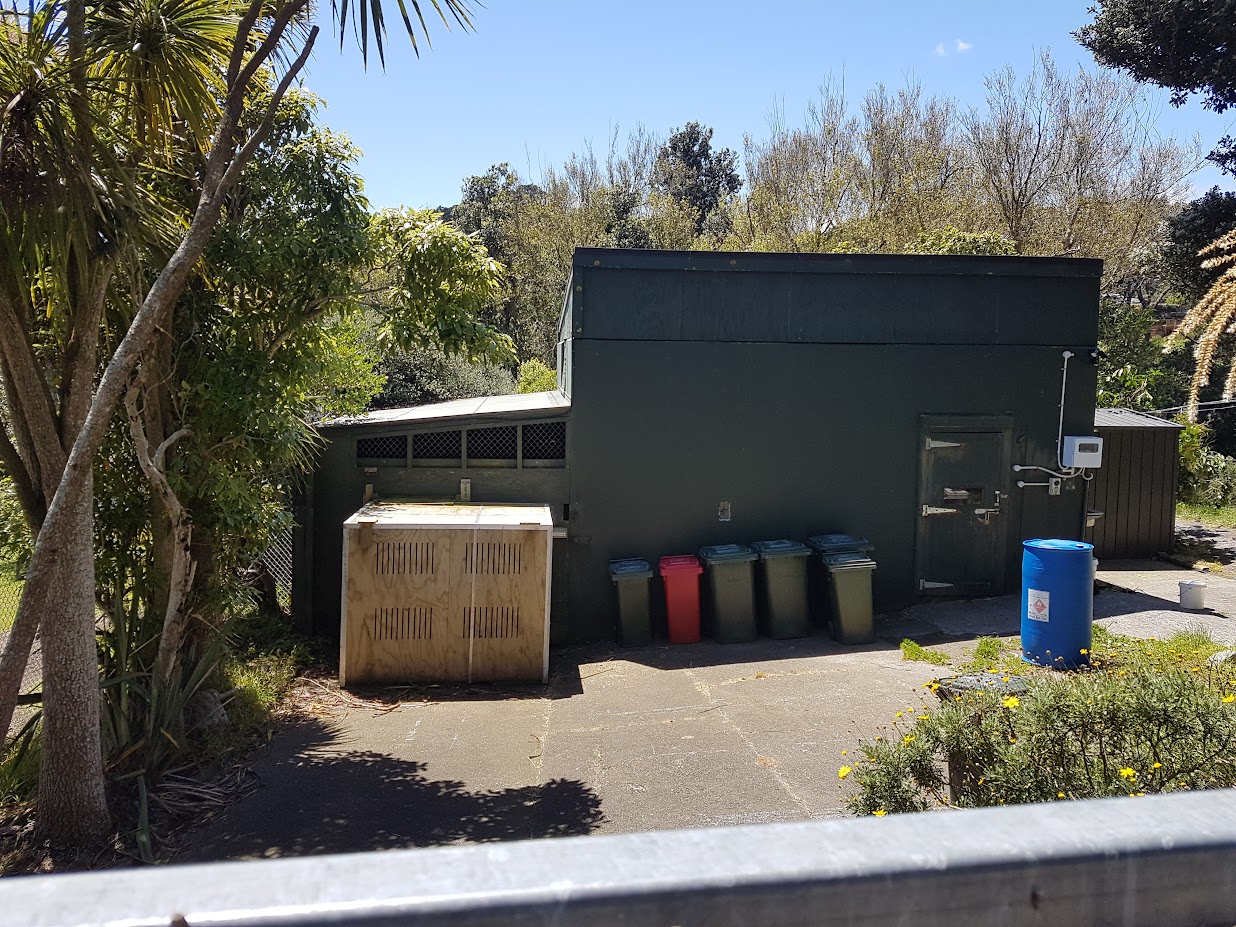 Wellington Zoo | Nyala (Previously Cheetah) Backstage